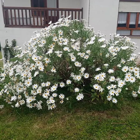 Casa Vacacional Buganvillas Prázdninový dům *