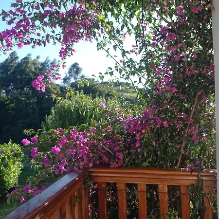Casa Vacacional Buganvillas
