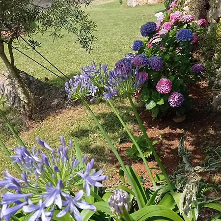 Casa Vacacional Buganvillas *