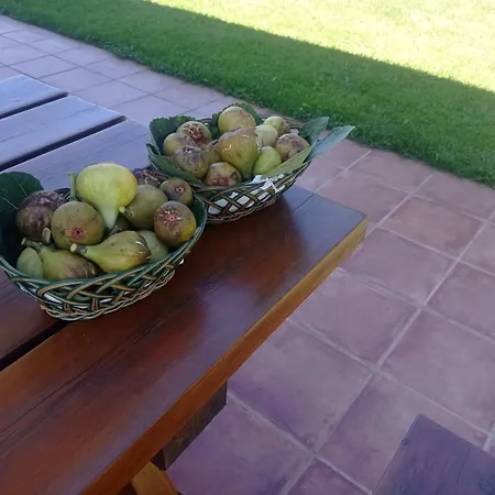 Casa Vacacional Buganvillas