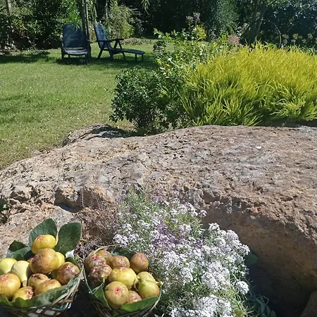 Prázdninový dům Casa Vacacional Buganvillas *