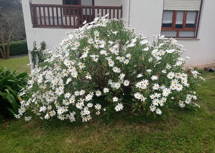 Casa Vacacional Buganvillas Prázdninový dům *