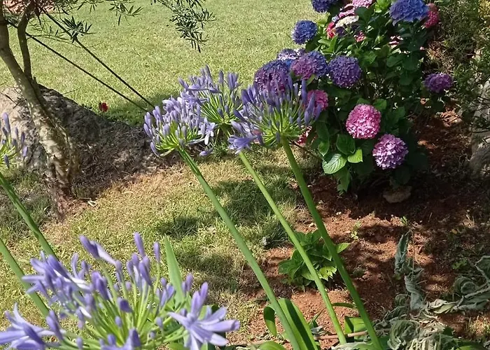 Casa Vacacional Buganvillas *