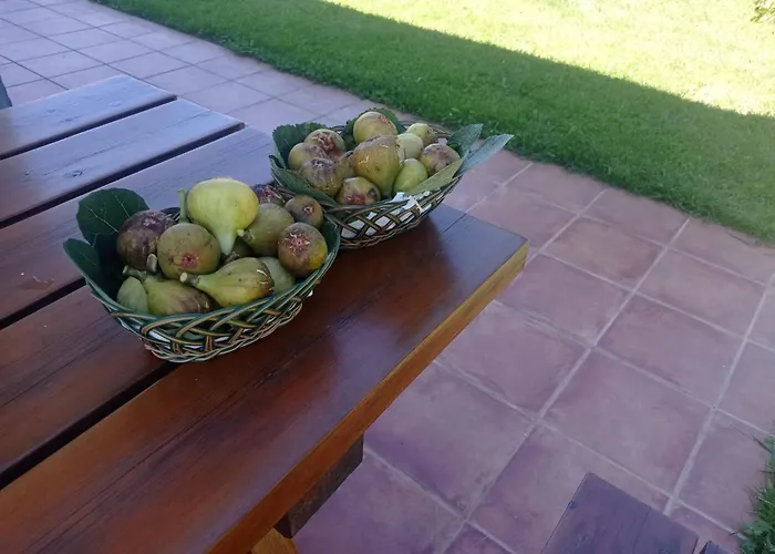 Casa Vacacional Buganvillas